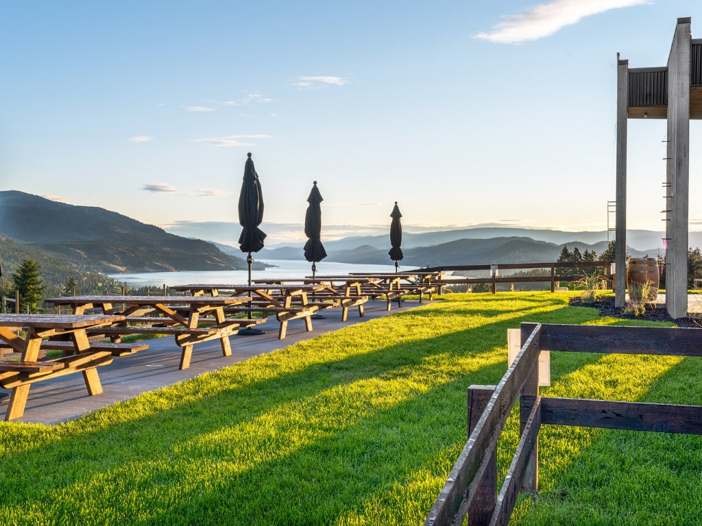 Weddings at Black Swift Vineyards | A Rare Place to Say “I Do”